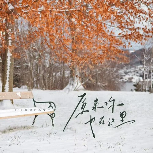 原來(lái)你也在這里-正在進(jìn)行石女士