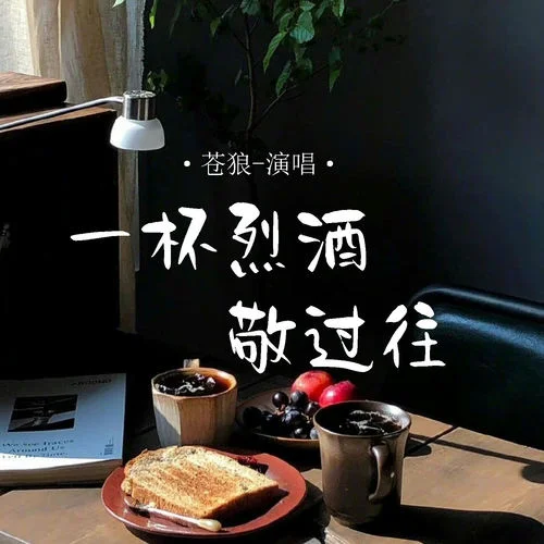 一杯烈酒敬過往-蒼狼