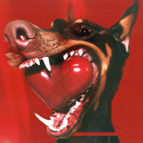 I ? YOU BABY!!-Paledusk