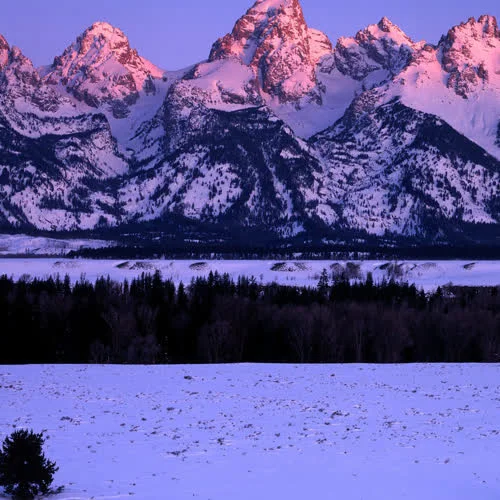 時(shí)來(lái)運(yùn)轉(zhuǎn)-孟火火