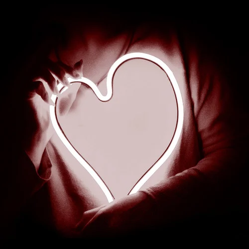 Can You Feel the Love Tonight-Anson Seabra