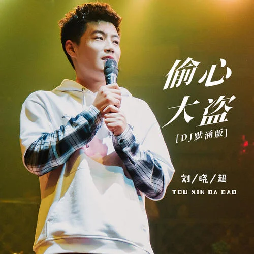 偷心大盜(DJ默涵版)-劉曉超