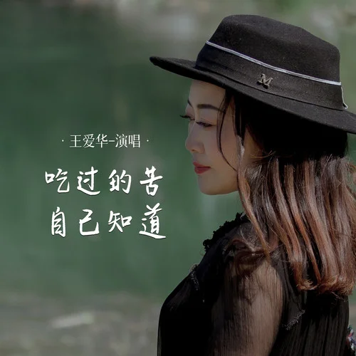 吃過(guò)的苦自己知道-王愛(ài)華