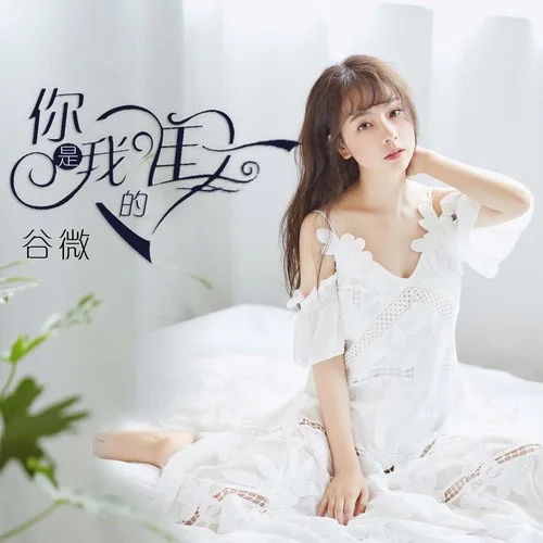 你是我的唯一-谷婭溦