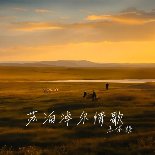 蘇泊淖爾情歌-王不醒