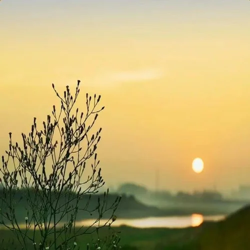 時光（純音樂）-Eliezer