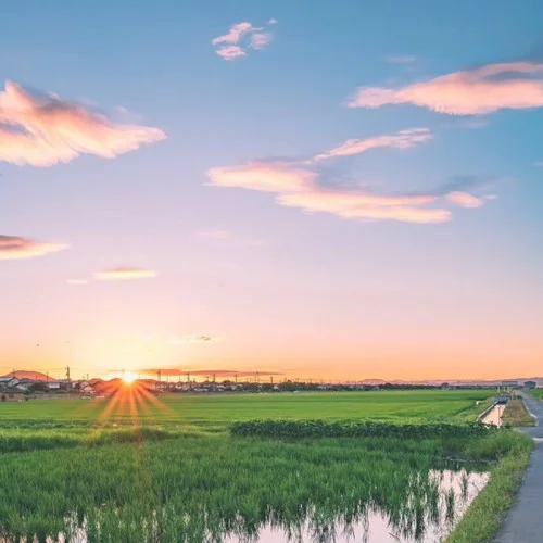 向往的生活-赵东俊