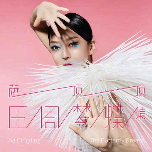 反彈琵琶-薩頂頂