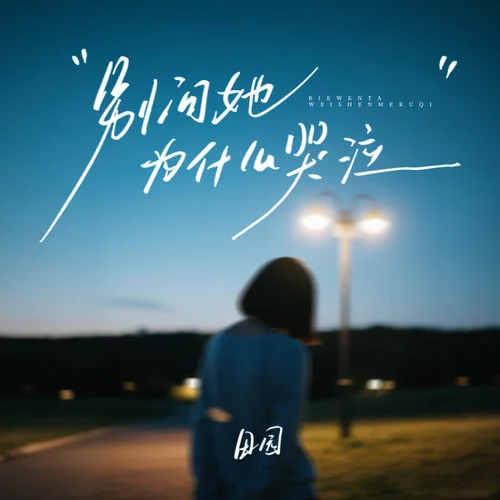 別問她為什么哭泣-田園