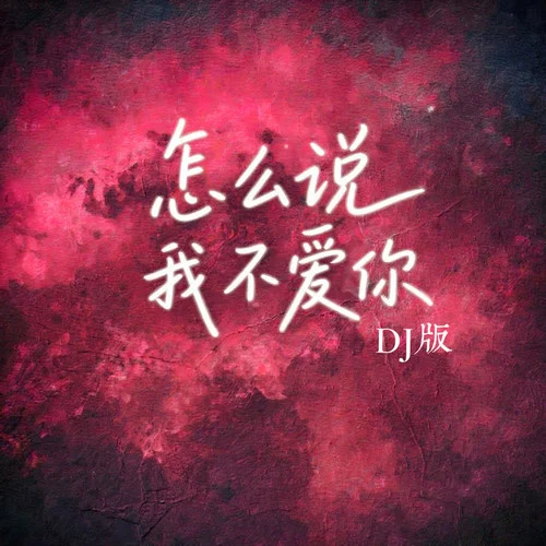 怎么说我不爱你 (DJ热播版)-金队长&DJAh