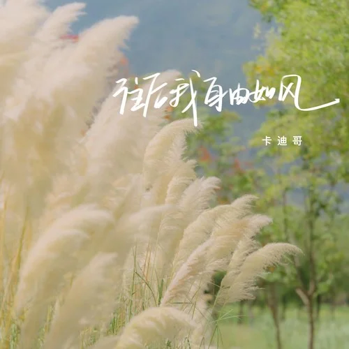往后我自由如風(fēng)-卡迪哥
