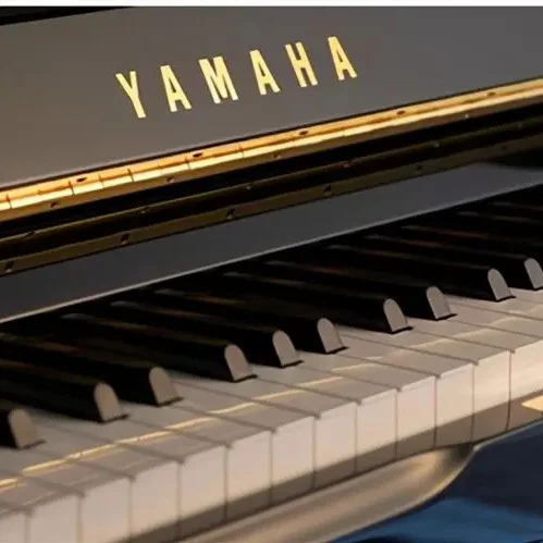 第二圓舞曲-小耳音樂