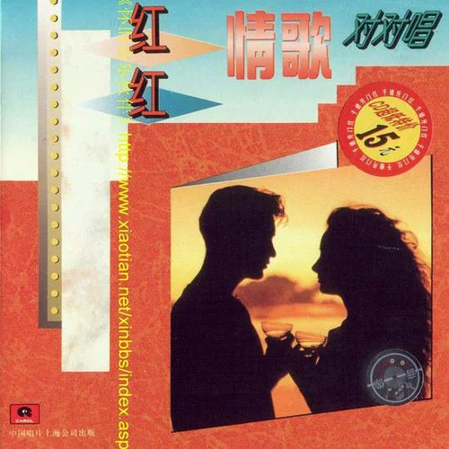 糊涂的愛-王志文&江珊