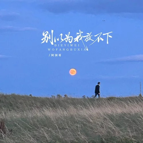 别以为我放不下-阿国哥