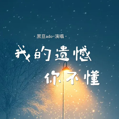 我的遗憾你不懂-黑豆ado