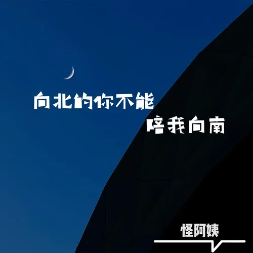 向北的你不能陪我向南(DJ版) (其他)-怪阿姨