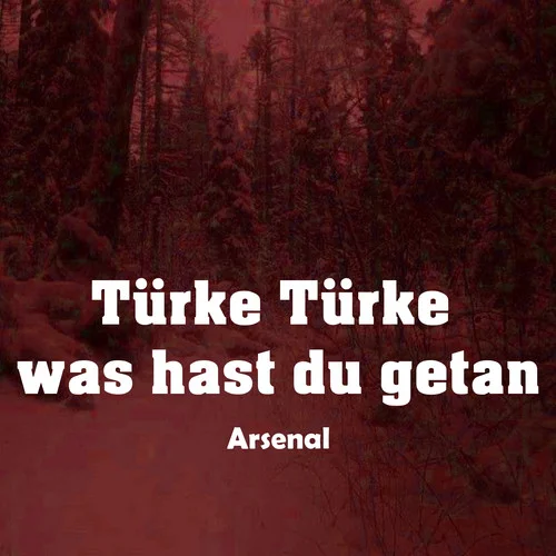 Türke Türke was hast du getan-Arsenal