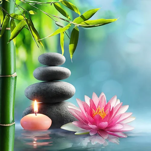 禪音靜心 古琴療愈冥想音樂-尹慧心