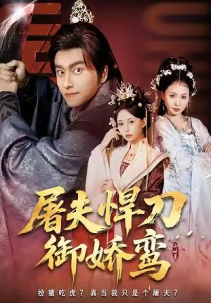 屠夫悍刀御娇鸾（81集）王振＆苏凝