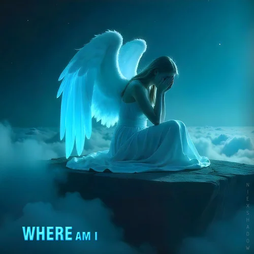 Feels Too Much-NiExshadow