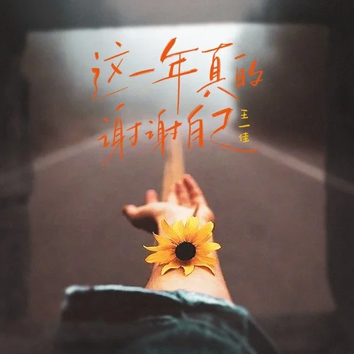 這一年真的謝謝自己(Live合唱版)-王一佳