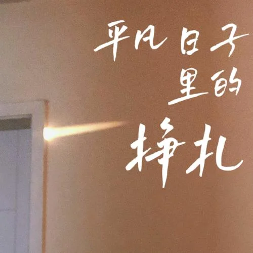 平凡日子里的挣扎(治愈版)-曾抖抖