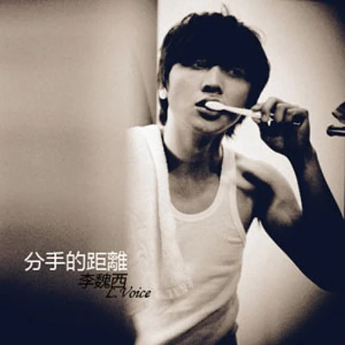 分手的距离-李魏西