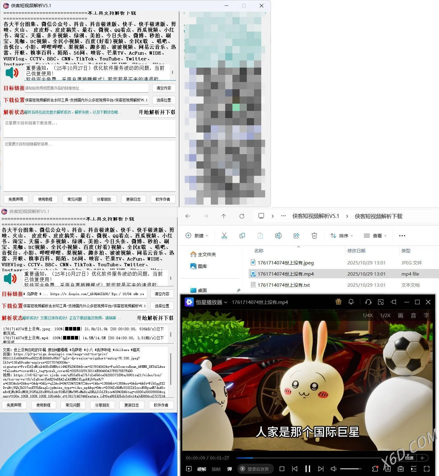 侠客多平台短视频解析去水印工具 V5.1