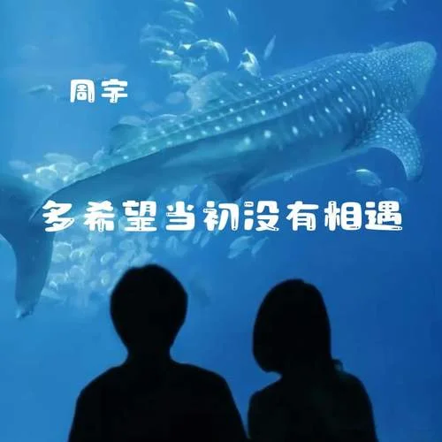 多希望当初没有相遇-周宇