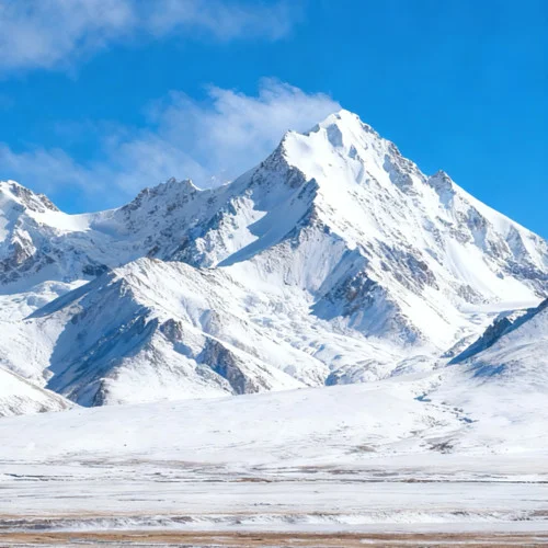 沙場秋點兵-沉在水底的魚