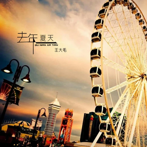 去年夏天(伴奏)-王大毛