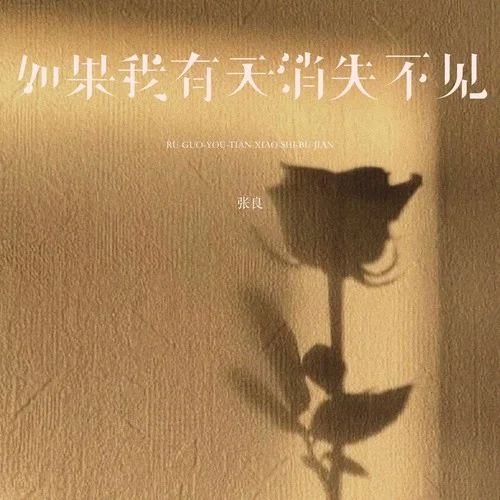 如果我有天消失不见-张良