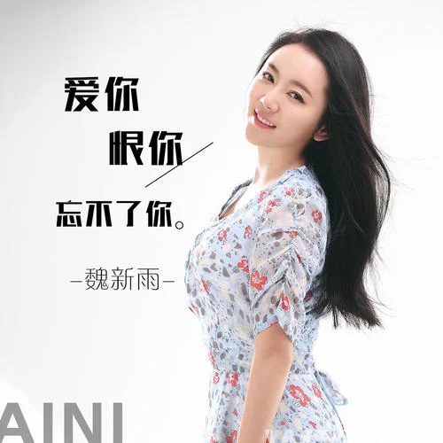 愛你恨你忘不了你-魏新雨