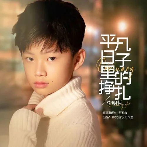 平凡日子里的掙扎-李明哲