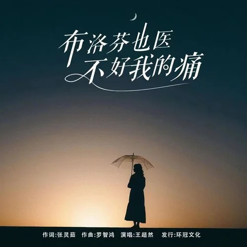 布洛芬也醫(yī)不好我的痛(DJ彭銳版)-王超然