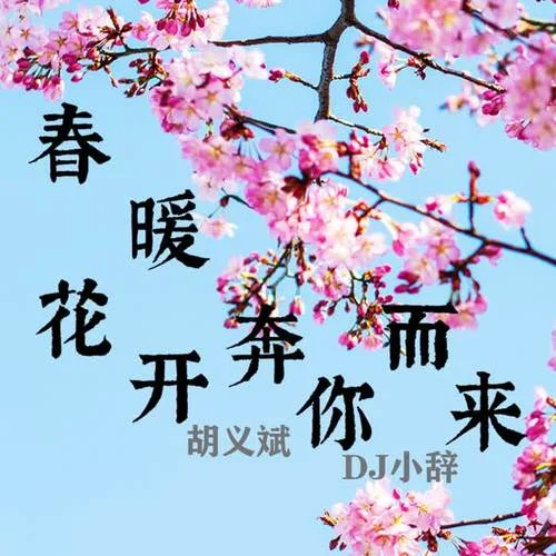 我要怎么說我不愛你-Dj小辭&胡義斌