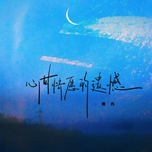 心甘情愿的遺憾-青冉