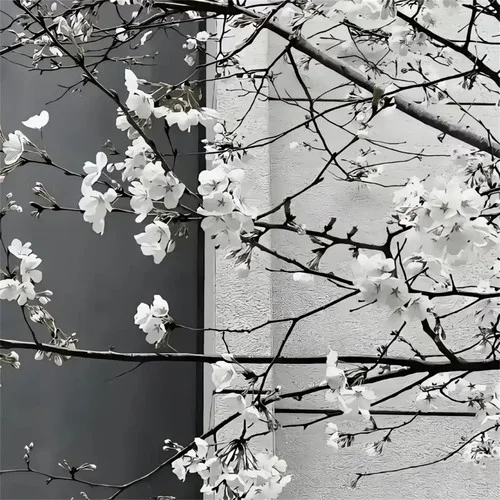 最佳損友 DJ新版 2025〈DJ阿然 Prog House Remix〉-寶藏音樂(lè)館