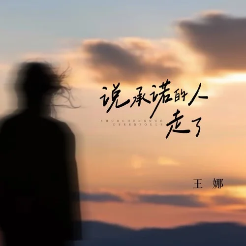 說承諾的人走了-王娜