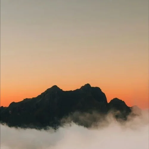 死亡不是終點(diǎn) 遺忘才是-純音師