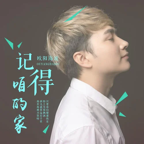 記得咱的家(DJ版)-楊海波