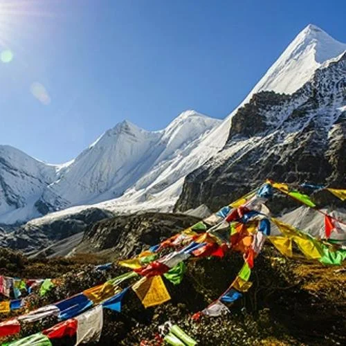 青藏高原 (DJ版)-圈圈菌