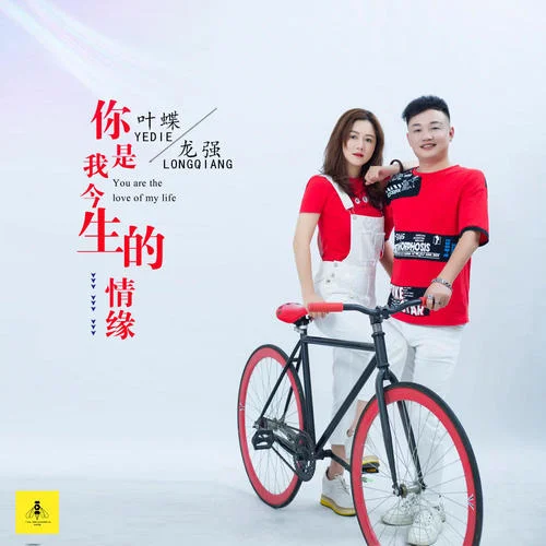 你是我今生的情緣-龍強&葉蝶