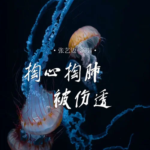 掏心掏肺被傷透-張藝邁