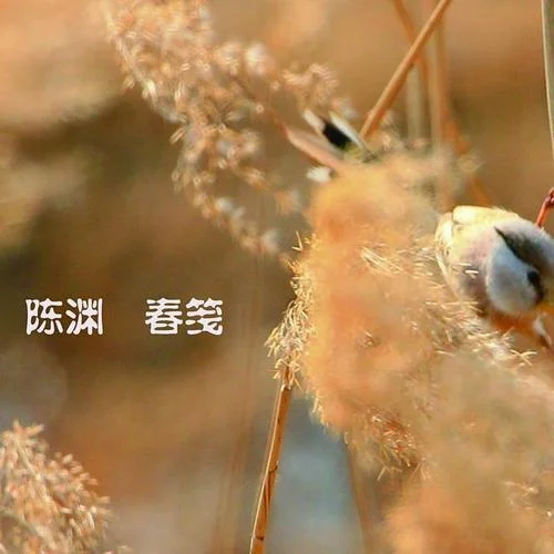 大鱼(伴奏)-陈渊