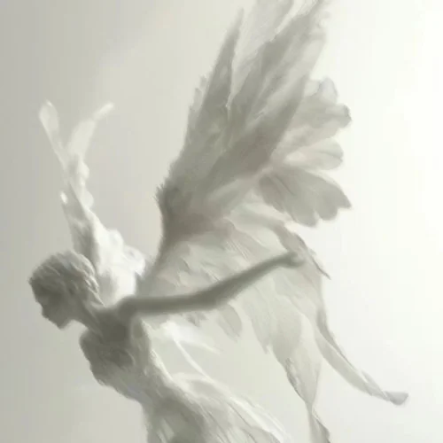 天使的翅膀 (DJ女版)-DJ小念