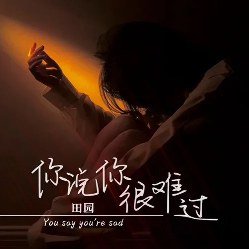 你說你很難過-田園
