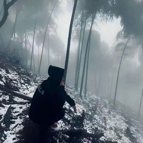 若月亮沒來-玄子