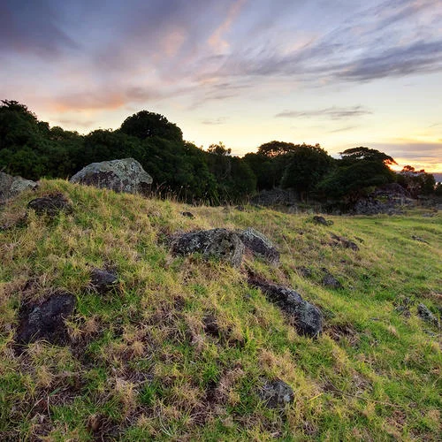 給你呀又名：for ya-老妹兒