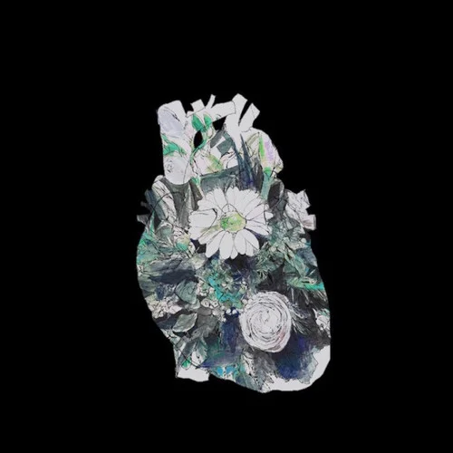 如果沒有你-隔壁老樊